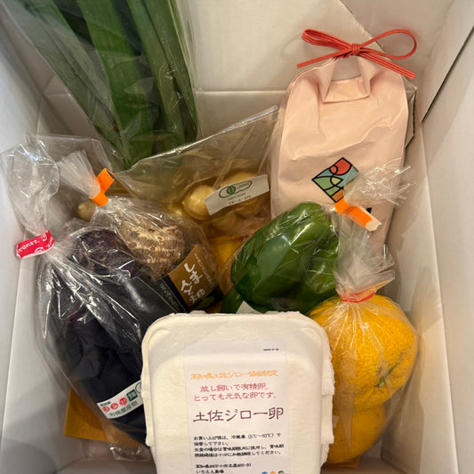 高知のこだわり農家の身体に優しいオーガニック野菜詰め合わせギフト